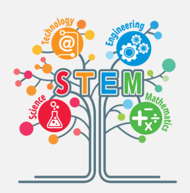 Модели СТЕМ-образования детей дошкольного и младшего школьного возраста в современной образовательной организации